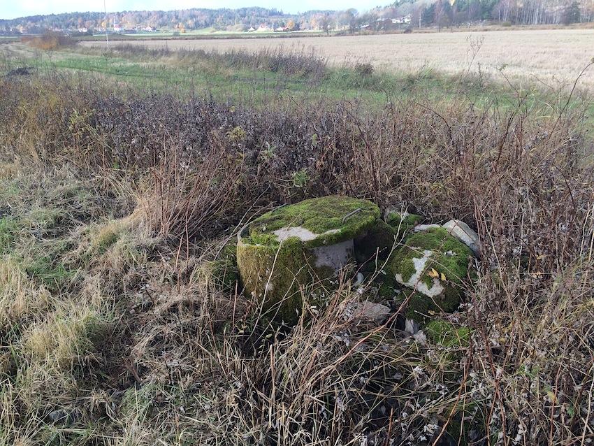 Några klena rönnar och enstaka rosbuskar växer i stenmuren.