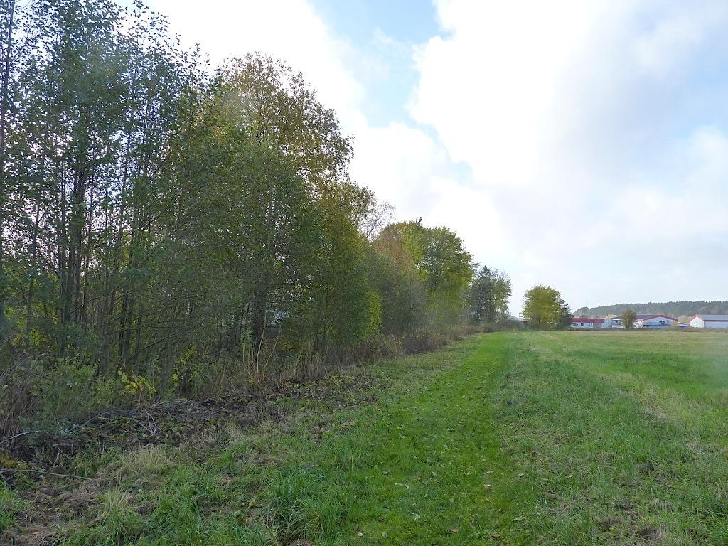 Preliminär naturvärdesklass: Naturvärdesklass 4 visst naturvärde Dominerande naturtyp: Skog och träd Biotoper: Lövskog Natura 2000-naturtyp: Beskrivning: Lövbestånd med asp, rönn och ask söder om