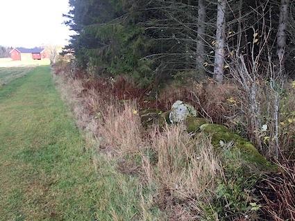 Naturvärdesklass: Naturvärdesklass 4 visst naturvärde Dominerande naturtyp: Äng och betesmark Biotoper: Stenmur, dike Natura 2000-naturtyp: Beskrivning: Objektet utgörs av flera stenmurar och ett