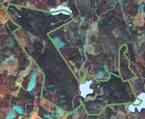 åtgärder. Kvarvarande områden med äldre graninslag kan ses som svarta fläckar i satellitbild 2015 (Figur 19).