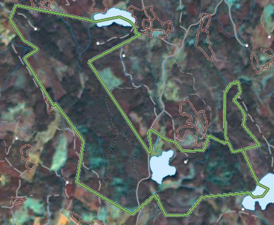 Satellitbild 2009, omfattande ståndskogsangrepp Satellitbild 2015, barkborredödad skog(blågrå).
