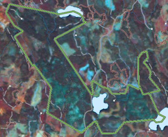 Satellitscener 2005-2015 som speglar förloppet stormfällning barkborredödad skog.