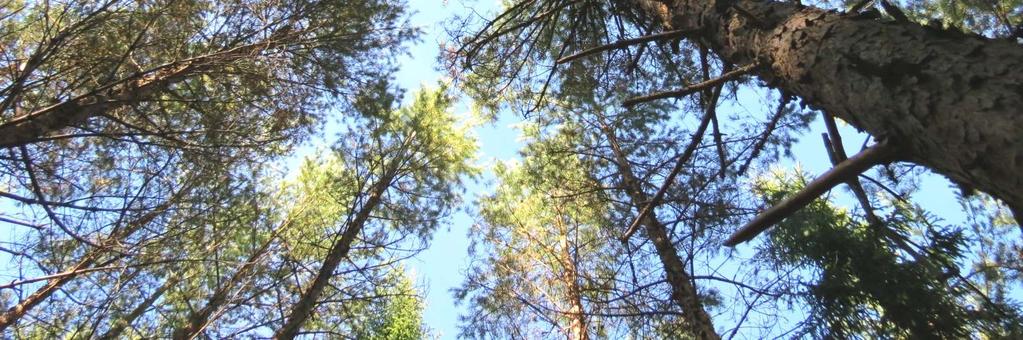 Fastigheten ingår i Bergsjö Mellersta viltvårdsområde. Fastigheten har lång strandlinje mot Kråkbäckssjön i Knoppe.