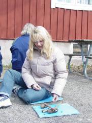 3 Kurser Följande kurser har arrangerats av Naturskolan under året. Vårtermin 2005 Hösttermin 2005 Kurs Kurslängd Antal deltagare Kurs Kurslängd Antal deltagare Först ute sen IT 2 x 1 dag 9st/tillf.