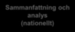 Sammanfattning och