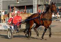 ohnny ohansson oh Benno Karlsson har tränat hästen under karriären oh HalmstadTravet kommer att avtaka Heders-Harry under V-tävlingarna den deember.