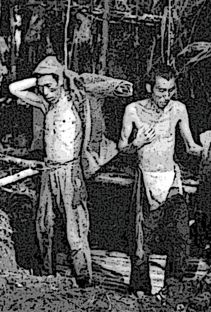 NOVELO Tri fugantoj ˆ Teruraj kaj sovaĝaj fariĝas homoj en ekstremo. Ŝoka estas la rakonto de la kontrolisto de la japanaj militkaptitoj. Kial ni ne forkuru?