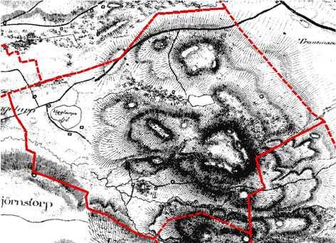 Betesmarkerna skapar variation i granplanteringarna och utgör viktiga inslag för landskapsbilden.