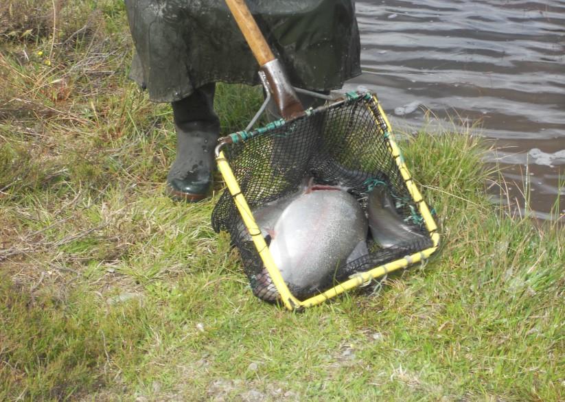 En fiskares bästa vän är tålamodet och friskluft.