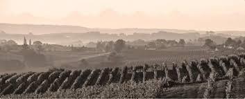 Familjen Bouchard har kvar sina vingårdar och druvorna ingår i de viner som buteljeras under namnet Pascal Bouchard. Amand Sauv.