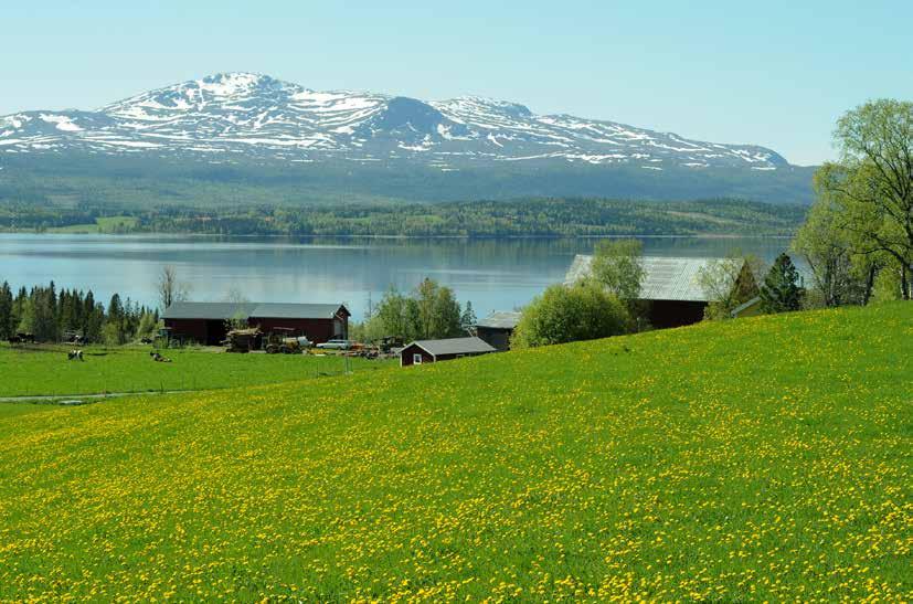 Utveckla en unik fjällmiljö på ett hållbart sätt Åre kommun har unika planeringsförutsättningar som både är stora tillgångar och rejäla utmaningar.