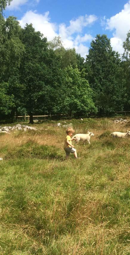 70 71 Karta 23. Rekreationsstråk och rastplatser Att att grilla eller ha picknick i naturen uppskattas av många. och Fågelsångsdalen.