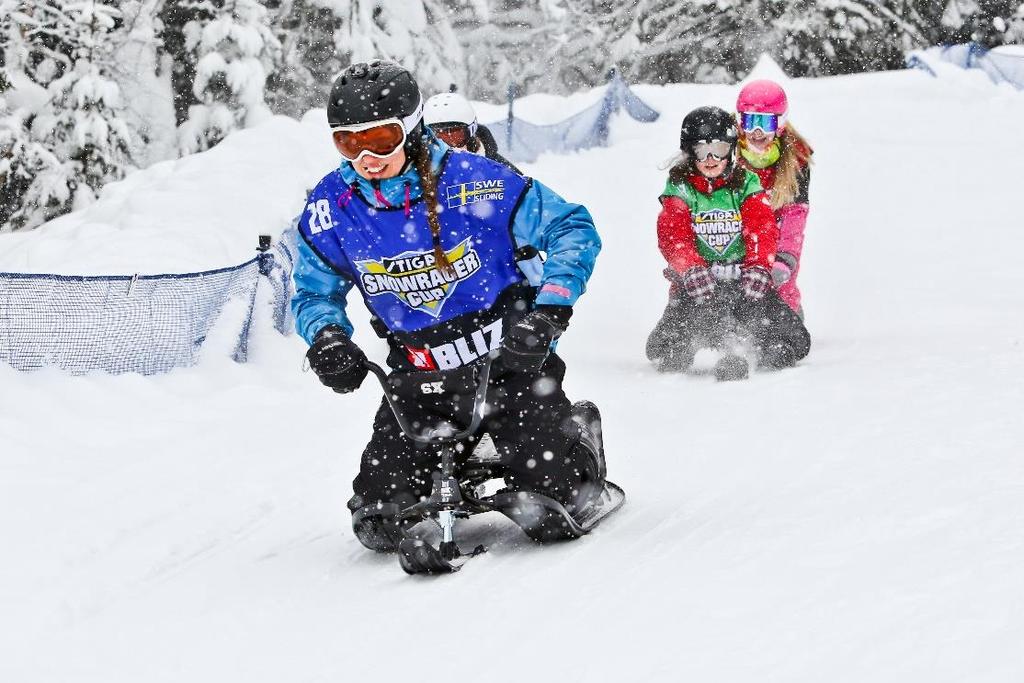 VERKSAMHETSPLAN SLEDCROSS 2018-2019 Skapa förutsättning för kontinuerlig träning och tävling i kälksport på olika platser i landet. Anslutning av minst två nya föreningar.