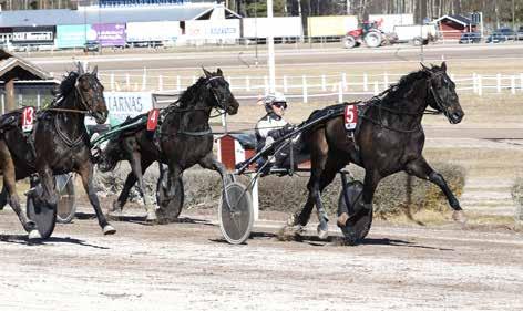 NYHETER 160403 Nästan full pott på Rättvik Magnus Jakobsson hade en fin dag på Rättvik i fredags. Han gästade Dalatravet med tre hästar och vände hem med två segrar och ett andrapris.