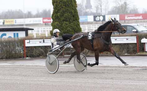 NYHETER 160408 Ny seger för Amazing Doc 160415 Åbyseger till Magnus Magnus Jakobsson noterades för en seger på Åby igår. Med Ulf Stenströmers Mr Magnifique vann han tredje loppet.