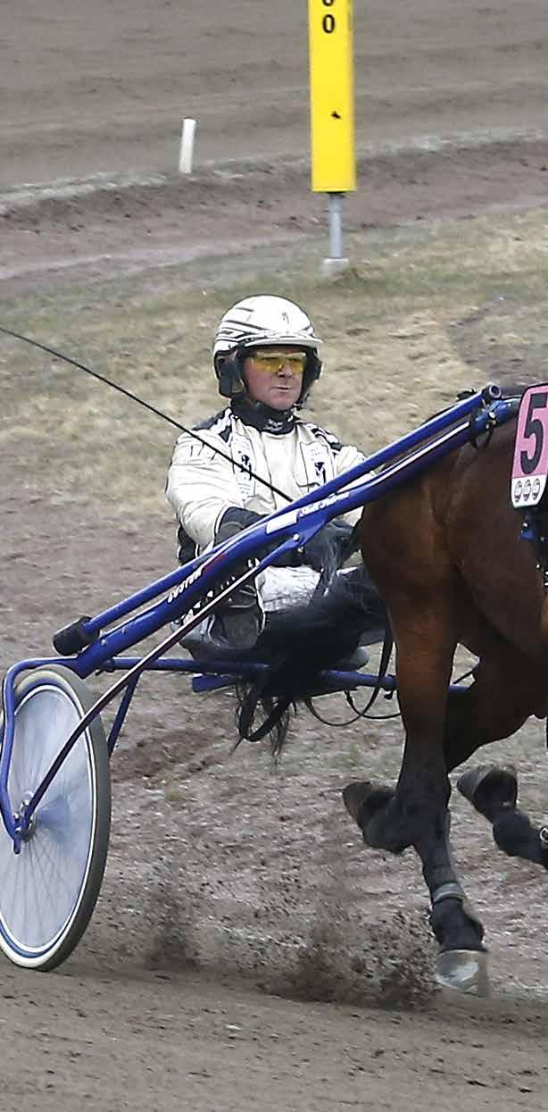 TRÄNINGSRAPPORTER ta start blir i V75 på Örebro på lördag. Gitti - Har varit in till banan och gått ett 1.18-jobb men blev lite förkyld efter det.