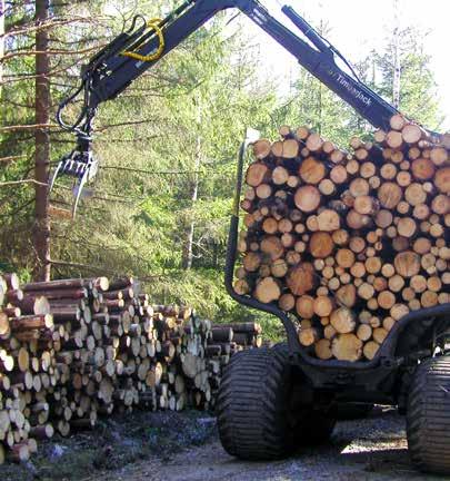 Planering är en viktig del av skogsbruket och långsiktighet är ett nyckelord för alla skogliga åtgärder.