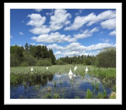 Biologisk myggkontroll inom NEDAB fanns också representerat och svarade på frågor i ett alltid lika aktuellt ämne.