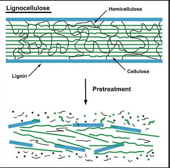 Ref: USDA Agricultural Research Service Lignocellulosa