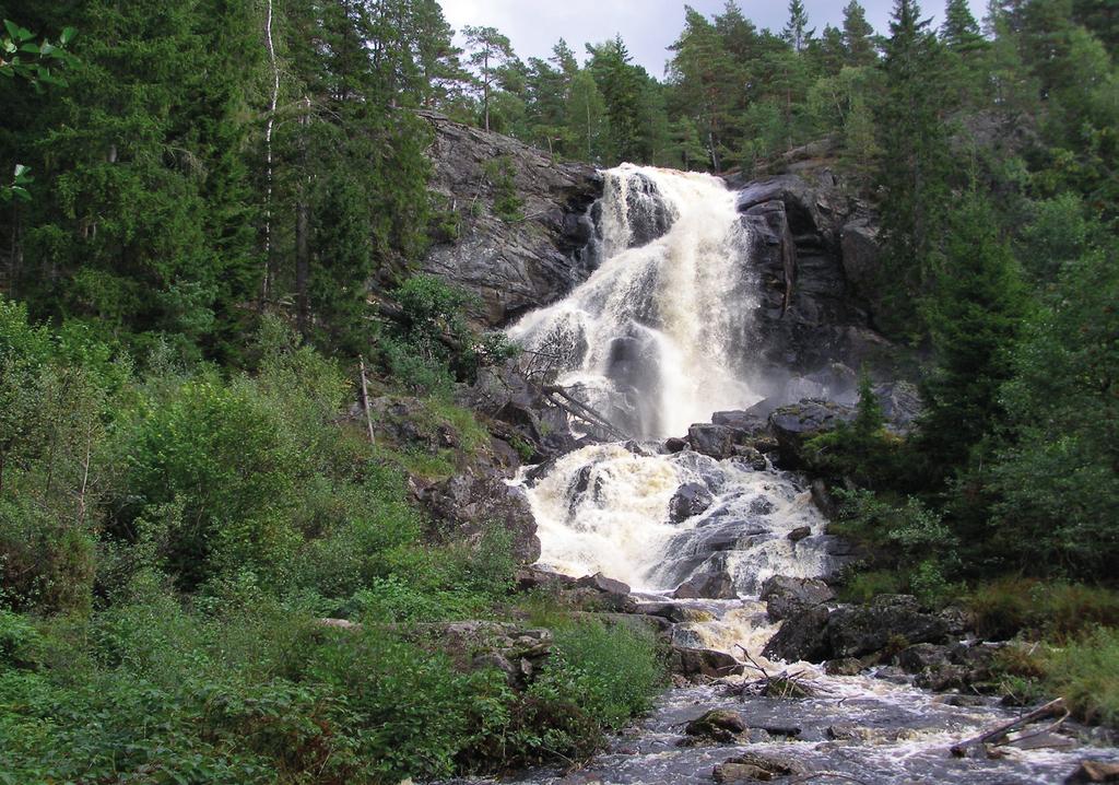 ORD PÅ VÄGEN För länge sedan utlyste kungen i ett land långt borta en tävling. Den konstnär som kunde måla en tavla som föreställde sann frid, skulle få en riklig belöning.