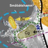 Dessa kommer att kunna ha stor betydelse för närboende i framtiden genom en framsynt planering för utvecklandet av variationsrika skogsmiljöer.