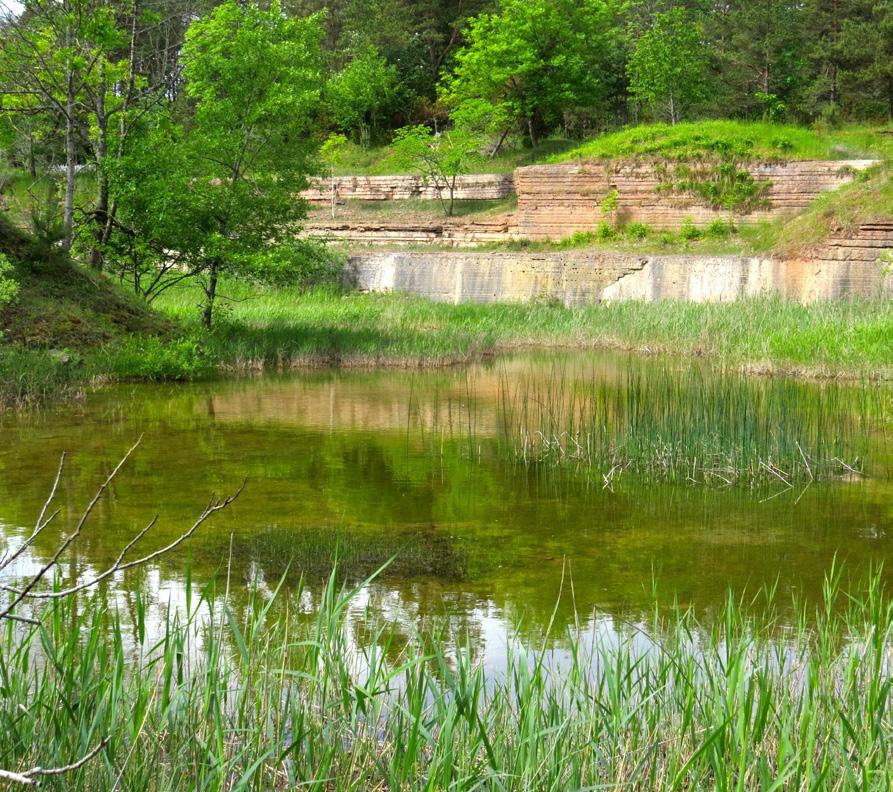 Vi såg då att hon redan hade en skadad tå på foten, kanske ett minne från en tidigare musselattack. Detta finns beskrivit tidigare (Woods et al 2008).