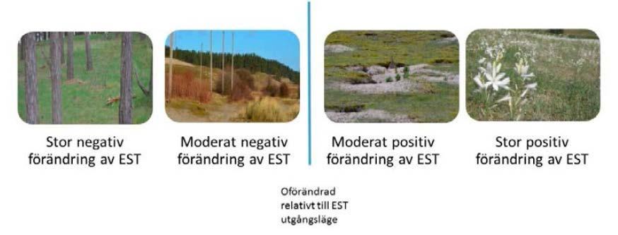 Rapid Impact Assessment Matrix (RIAM) Ekosystemtjänster behöver tas in i miljöbedömningar, och det finns behov av att göra MKB mer transparant och jämförbara.