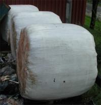 i försöken, med monterade