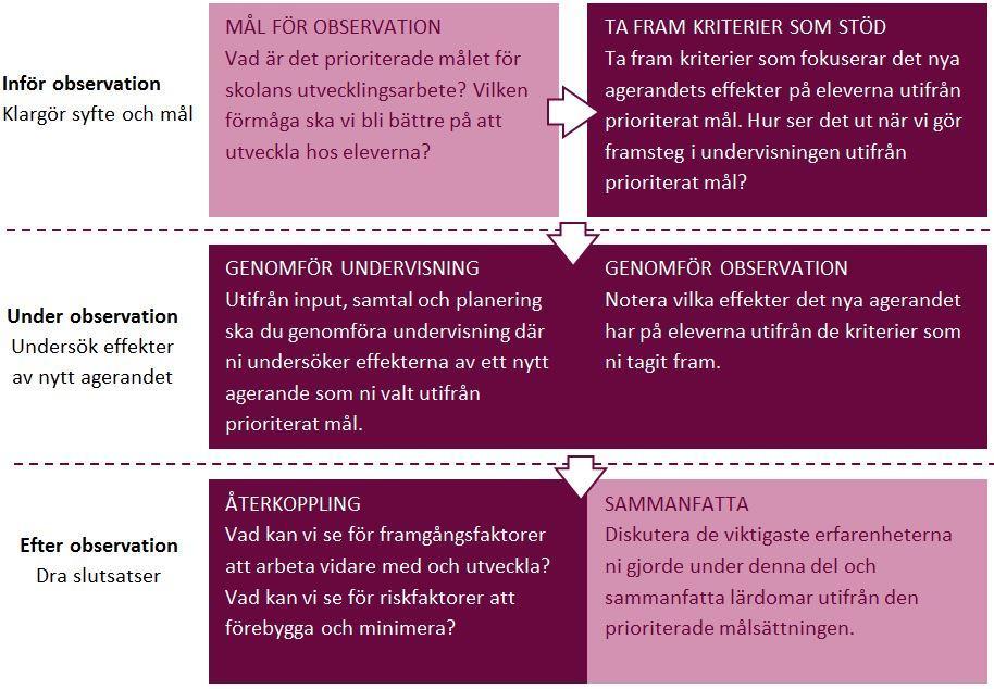 inte ger sig förrän målet är uppnått och att man omformulerar problemet till dess målet är nått. Denna process kan pågå under en längre eller kortare tid och den kan göras om flera gånger.