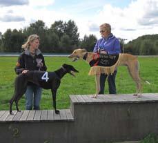 Åkers Kanal Greyhound Park Speldag: Trippel H U N D A R Res. Res. Antal Avd 1 2 3 4 5 6 1 2 Rader 1 2 3 Tot. rader Tot. kronor Tricias loppet. fr. v. tvåa Talisker, Maria Blomkvist, SHS, 32.