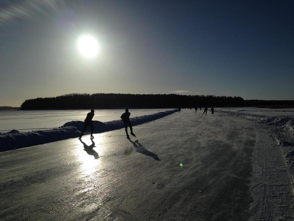 Skating