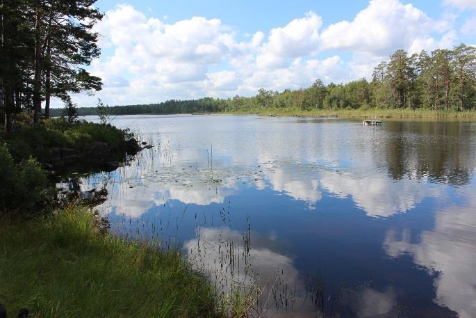 Stensjön Fynd: Äkta målarmussla: 74 mm, 74 mm, 78 mm, 80 mm, 80 mm, 85 mm, 85 mm 86 mm, 86 mm, 86 mm, 90 mm, 90 mm, 93 mm, 101 mm.