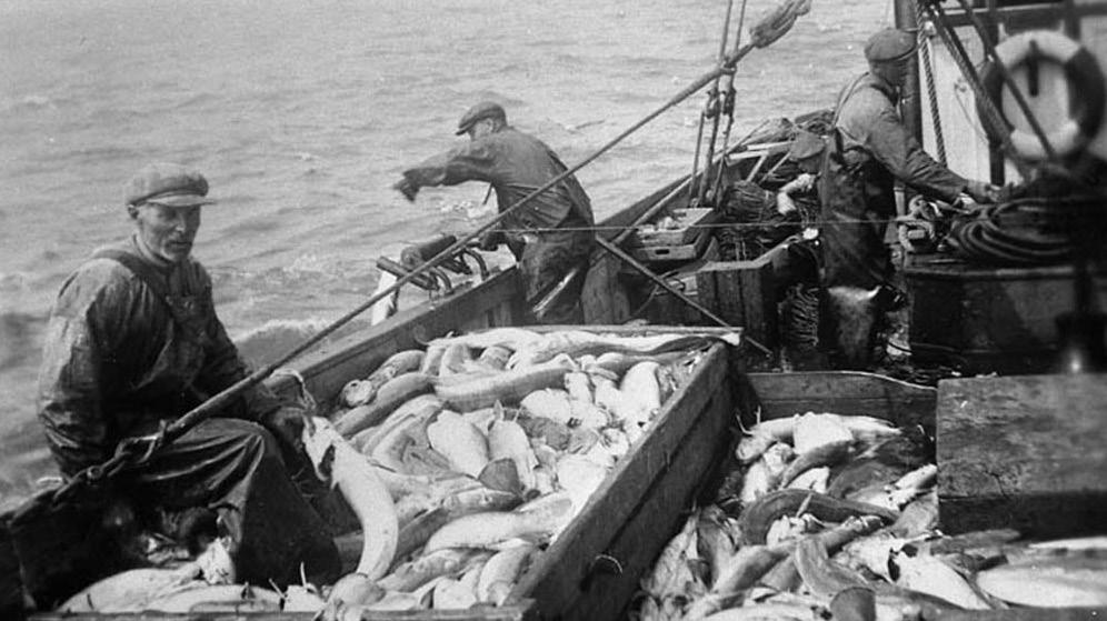 Aqua reports 217:7 Svenskt fiske i historiens ljus
