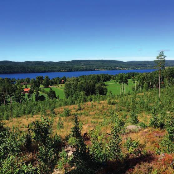 Omslag i väder kan ge plötslig ishalka. En längre tid med värmebölja och extrem torka kan leda till ökad risk för skogsbrand. Vad betyder varningarna för extrema väderförhållanden?