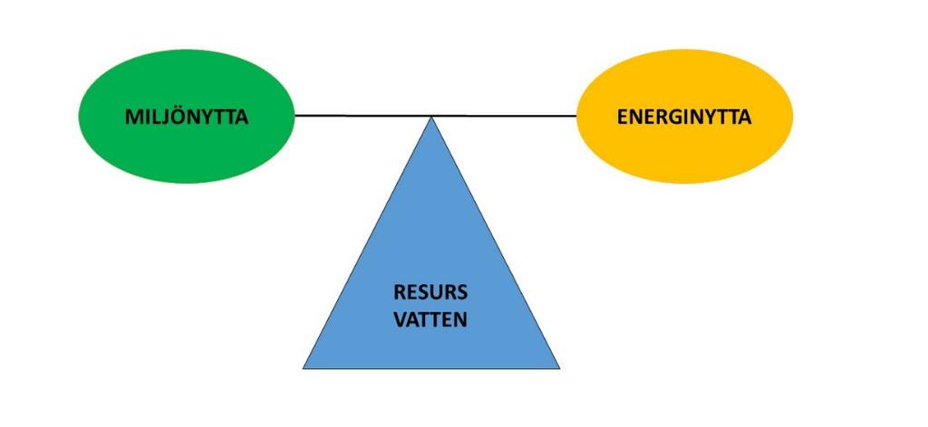 1 Introduktion 1.1 BAKGRUND Världens vattendragsekosystem utsätts för allt större påverkan genom t.ex.