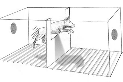 vanligare mindre vanligt vanligare mindre vanligt Hunden får något Positiv (belöning) (Positiv) Bestraffning Hunden får något Positiv Välbehag, glädje Bestraffning Obehag, rädsla Hunden blir av med