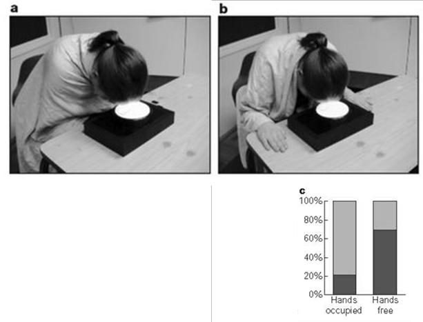 , Anim Behav 2001, 2003 Observationsinlärning i ett träningssammanhang Test om hunden kunde utföra uppgiften (N=50) Observationsinlärning