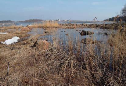 Våtmarker förekommer frekvent inom platsundersökningsområdet.