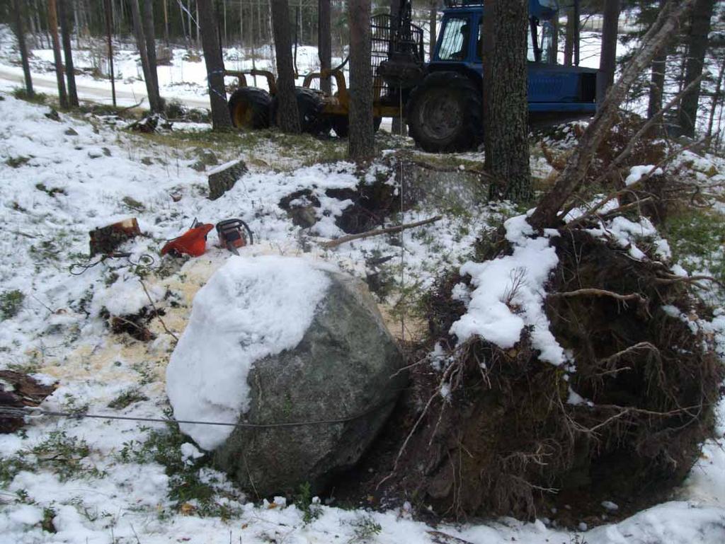 Södra delen av terrasskanten på husgrund D hade skadats av ett vindfälle. Även direkt söder om grunden fanns en rotvälta, vilken inte skadat lämningen men där en mindre kolfläck kunde iakttagas.