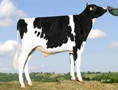 0,13 % 40 kg Kalvn far Kalvn mf Mjölkbarhet Lynne Hull Egenfertilitet 2 aaa 243165 AB A1/A1 Charming sdjup bakifrån djup ligament 30 130 t t 88 Fördelar: Kors, spenplacering, kalvningar grzg