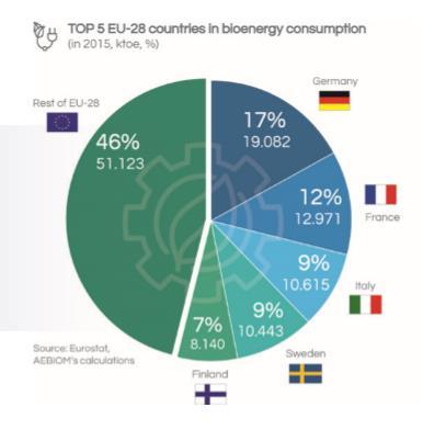 EU och bioenergi, 2015 54% i fem länder