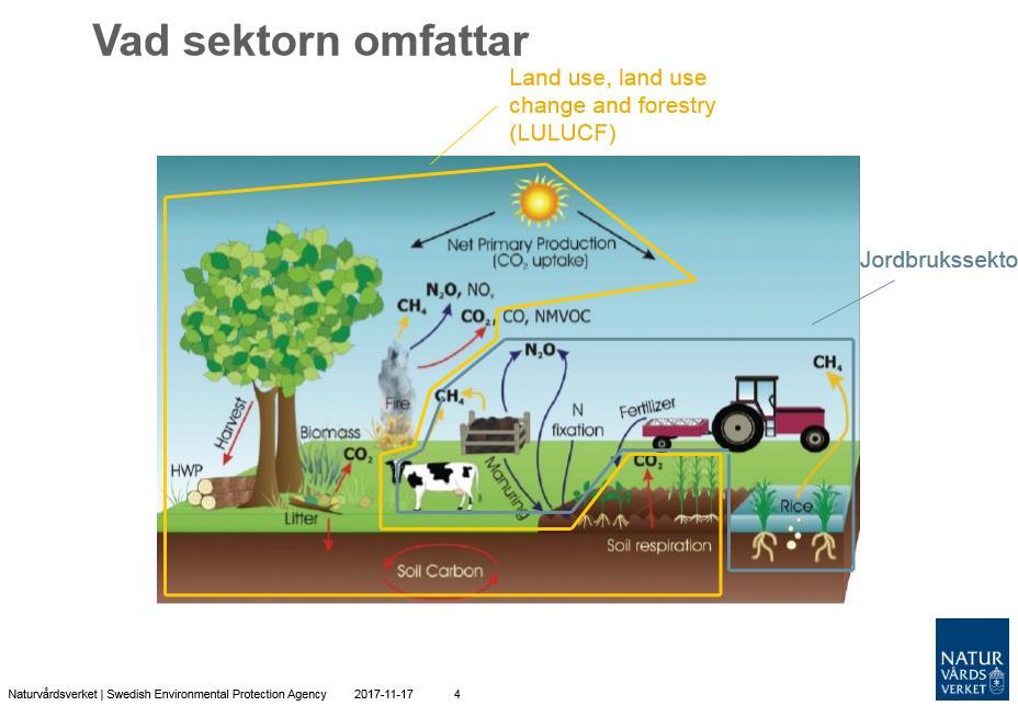 EUs princip för bioenergins klimatskuld Upptag och utsläpp av klimatgaser från plantering och avverkning hanteras i LULUCF (Land Use, Land Use Change and