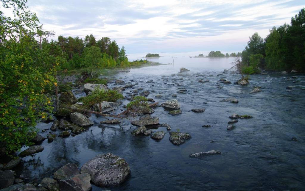 Delområde 5 Arjeplogsströmmarna Storlek: Cirka 100 ha Fältbesökt: 20150904 Stort område som domineras av de blockiga strömmarna mellan sjöarna Sälla och Tjårvesjåkkå.