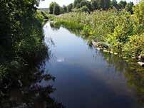 Inledning Medins Havs- och Vattenkonsulter AB har fått i uppdrag av Länsstyrelsen i Stockholms län att utföra kiselalgsanalyser på 13 vattendragslokaler år 2015.