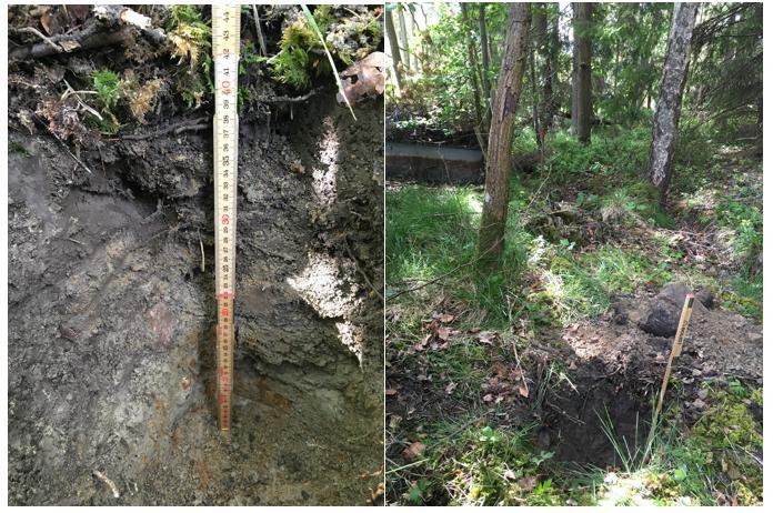 5.3 GEOLOGI OCH TOPOGRAFI Terrängen i undersökningsområdet sluttar från nordöst till sydväst från +25 till +15,5 med en tydlig slänt sydsydöst efter fastighet 1:893, se bilaga 1.