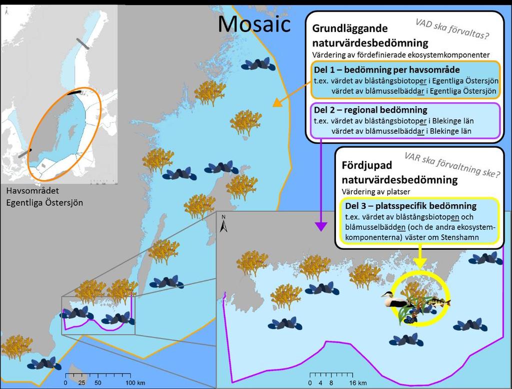 Havs- och vattenmyndighetens rapport 2017:XX Figur 1. Överblick över ramverket Mosaic.