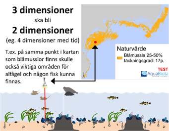 tvådimensionell karta ska skapas utifrån en tredimensionell värld (b) (egentligen en fyrdimensionell värld med tanke på tid).