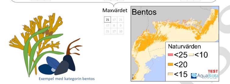 fått 10, 17 och 21 poäng.