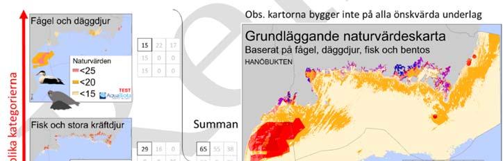 I den fördjupade naturvärdesbedömningen (i analysen av ekologisk representativitet) fångas ekosystemkomponenter upp som här döljs av de ekosystemkomponenter som har högre