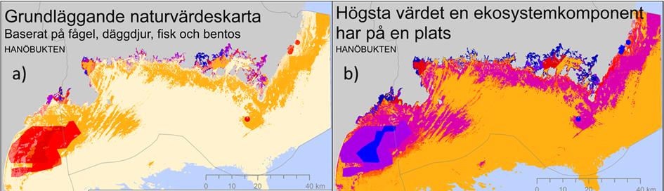 Figur 8. Kartorna visar vilka faktorer som styr utformandet av den grundläggande naturvärdeskartan.